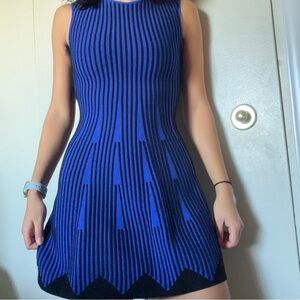 Black and Blue Milly Minis Dress